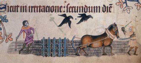 The Luttrell Psalter: Intricate Miniatures and a Glimpse into Medieval Life!